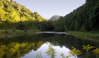 Photo of a lake with lush trees and foliage along the bank represents how Arch prioritizes the health of our natural environment.